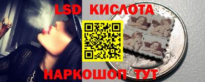 индика Ставрополь