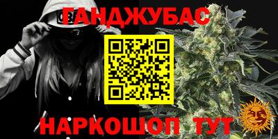 индика Ставрополь