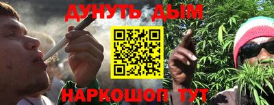 индика Ставрополь