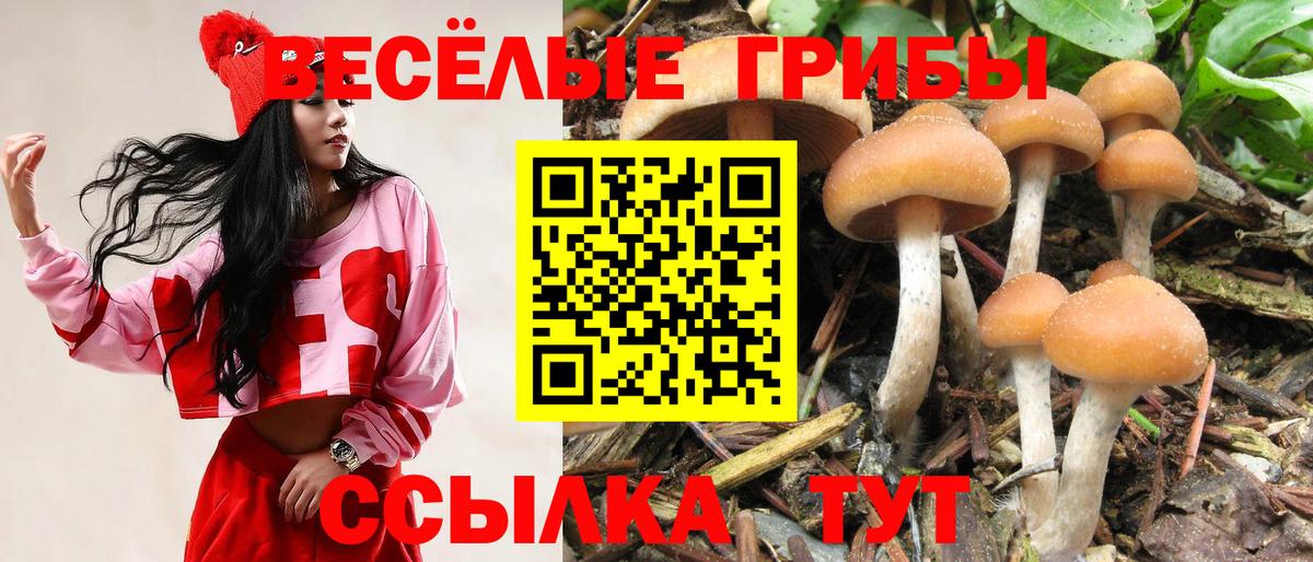 Псилоцибиновые грибы прущие грибы Оренбург
