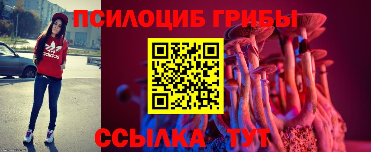 Оренбург  Галлюциногенные грибы Psilocybe  Галлюциногенные грибы GOLDEN TEACHER  Вход с VPN 